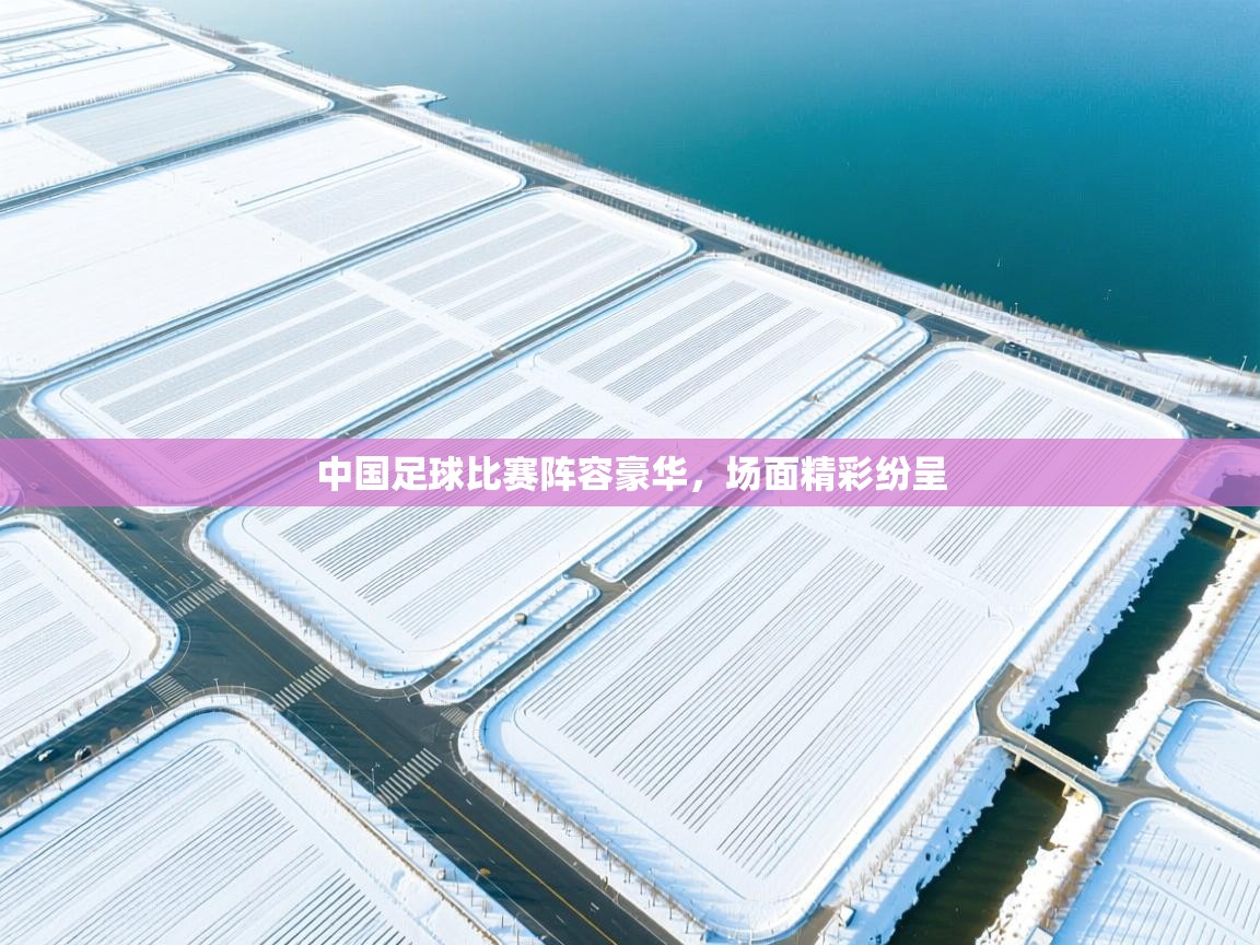 开云体育app网页版入口-中国足球比赛阵容豪华,场面精彩纷呈  第3张