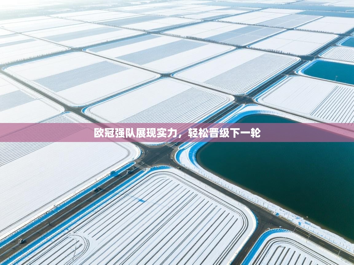 开云体育极速下载镜像-欧冠强队展现实力,轻松晋级下一轮 第3张