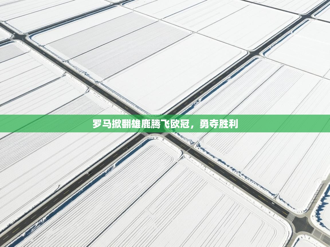 开云体育在线下载-罗马掀翻雄鹿腾飞欧冠，勇夺胜利  第4张