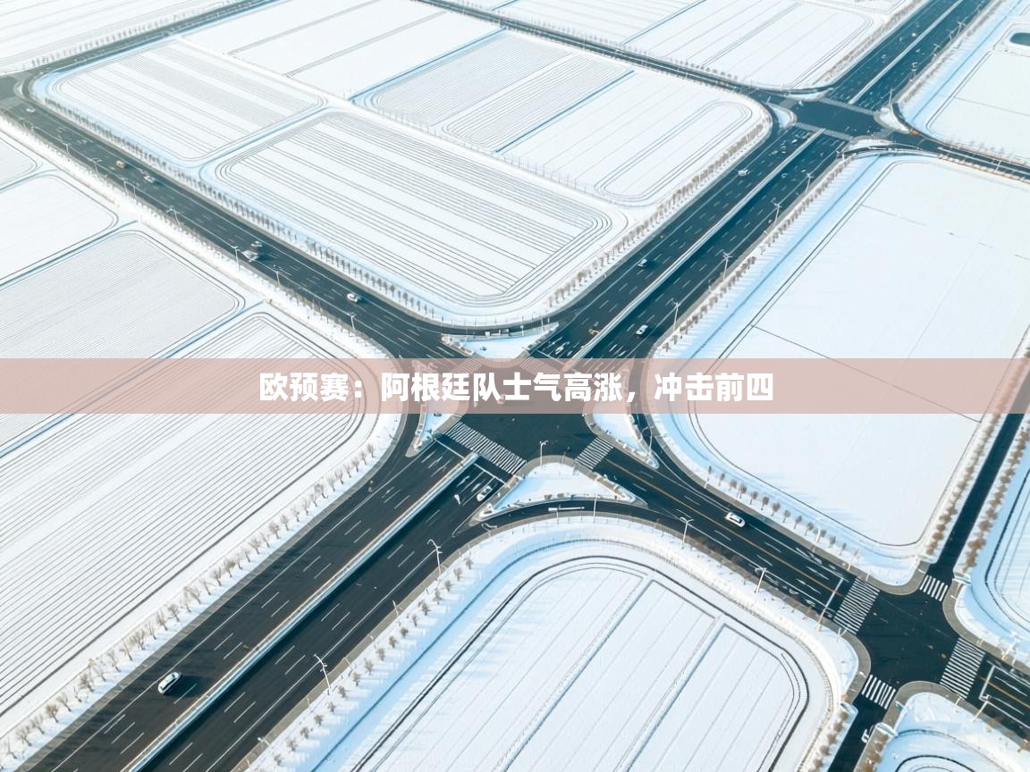 开云体育无法登录解决方案-欧预赛:阿根廷队士气高涨,冲击前四 第4张