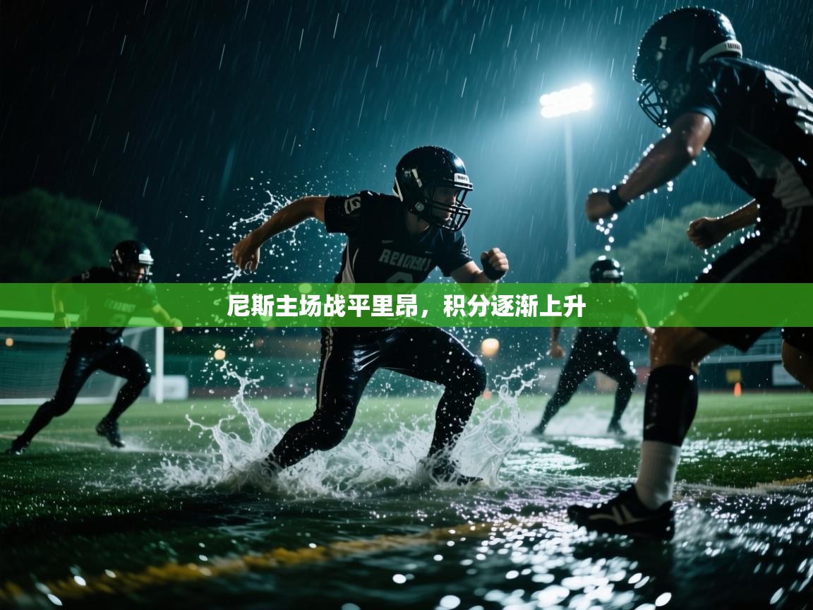 开云体育入口客服-尼斯主场战平里昂，积分逐渐上升  第2张