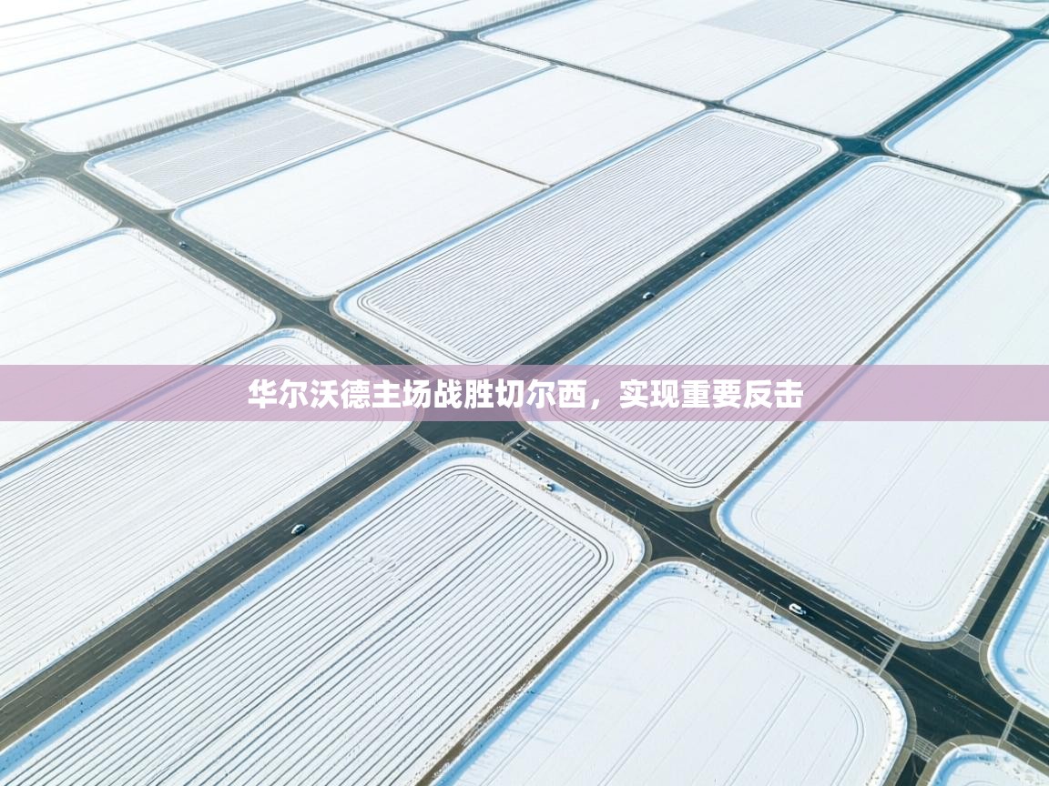 开云赛事-华尔沃德主场战胜切尔西，实现重要反击  第1张