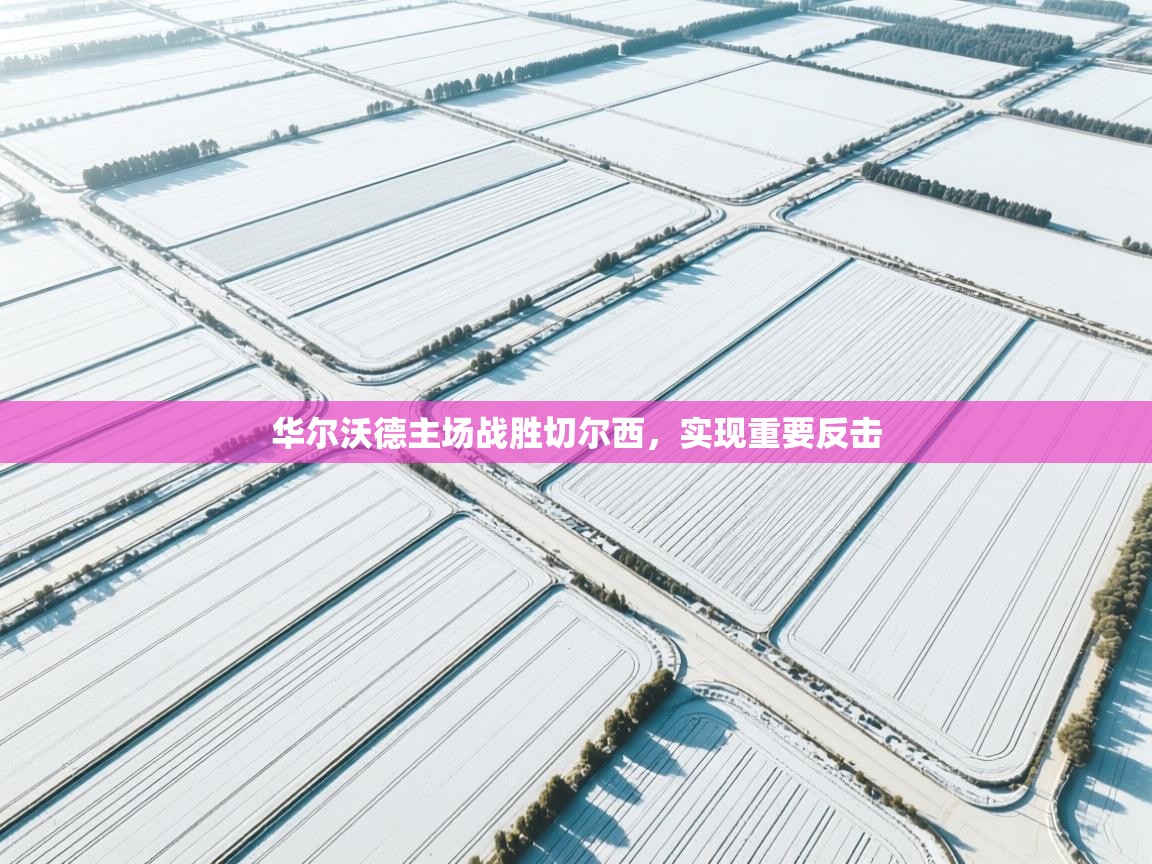 开云赛事-华尔沃德主场战胜切尔西，实现重要反击  第2张