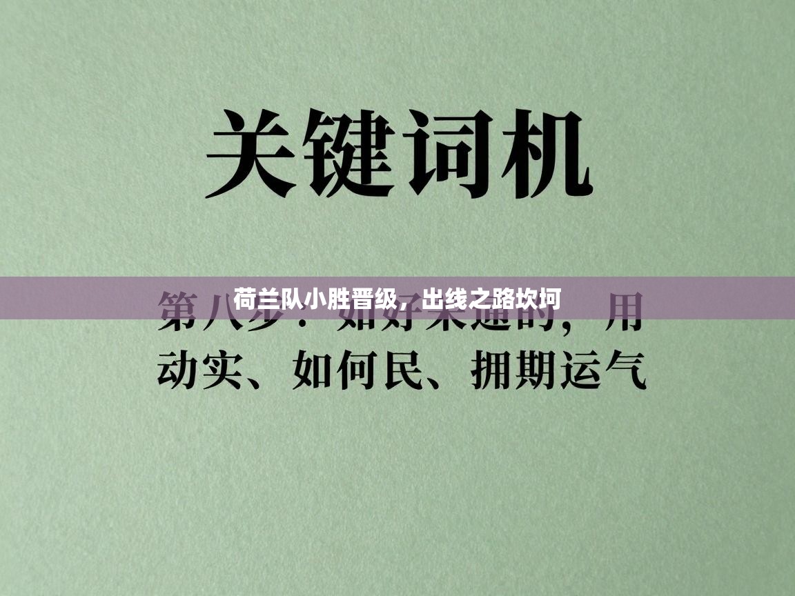 开云手机版-荷兰队小胜晋级,出线之路坎坷 第3张