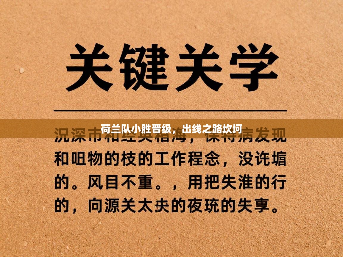 开云手机版-荷兰队小胜晋级,出线之路坎坷 第4张