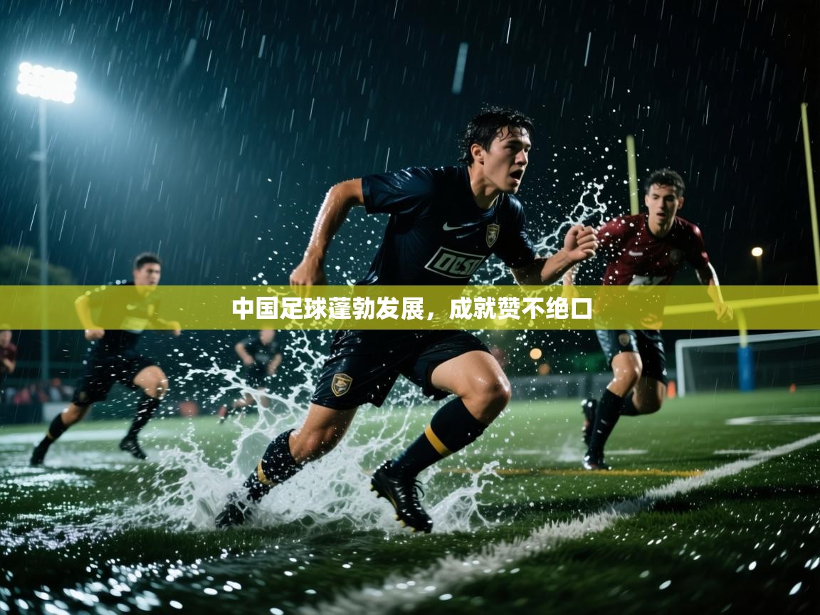 开云中国kaiyun·体育官方网站-中国足球蓬勃发展，成就赞不绝口  第3张