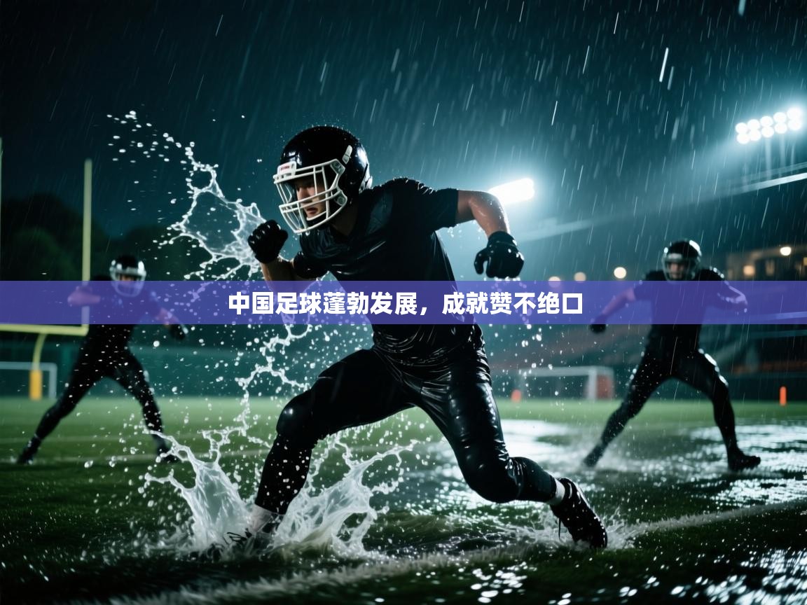 开云中国kaiyun·体育官方网站-中国足球蓬勃发展，成就赞不绝口  第2张